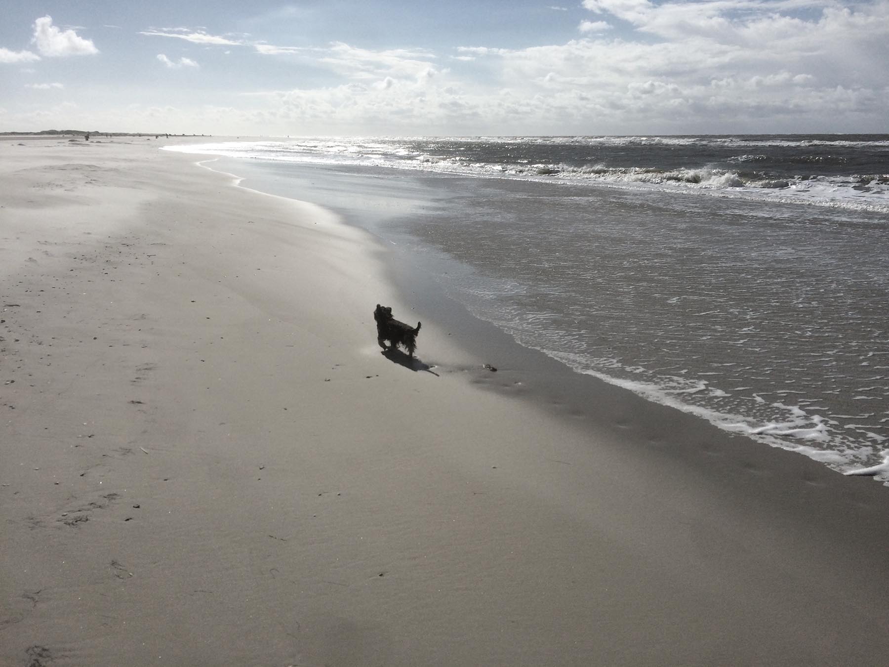 Amrum, Norddorf, 2015